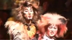 The Rum Tum Tugger