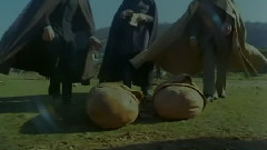 电影<神秘的黄玫瑰:白骨之路>