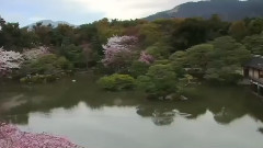 小村之恋