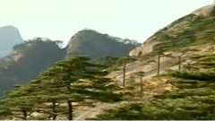 出水莲