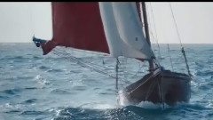 你愿意和只猪一起旅行吗