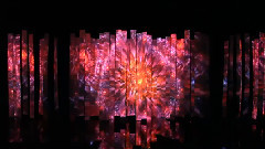 Best Video Installation Art At The Biennale
