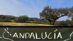 A Spanish Roadtrip