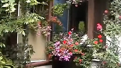 Plovdiv