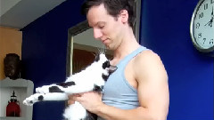 Yoga With Cats