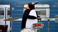 Penguins In The Metro