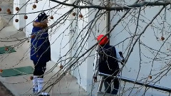 出发梦之队