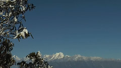 Dreamy Cow Back Mountain Music Landscapes