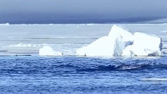 The Life Of The Calm Water