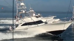 Port Douglas Marlin Fishing
