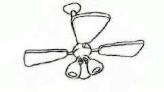 The Fan And The Flower