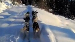 Mountain Climb Siberian Husky Sled Dogs