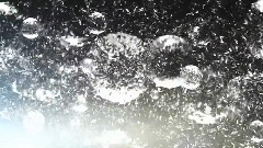 Water Drops
