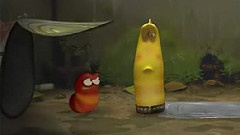 Larva