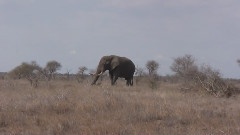 My Trip To South Africa