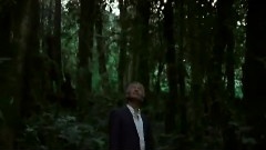 生命树