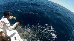 The Waterlust Project
