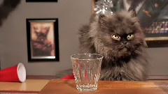 Unhappy New Year To You All