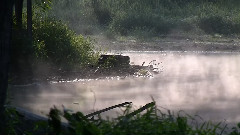 One Misty Morning