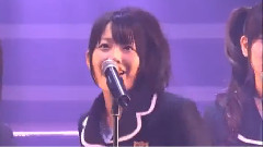 桜の花びらたち