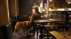 Troubadour