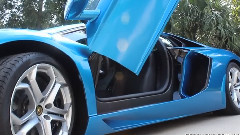 Azure Blue Lamborghini Aventador Model's Cute Reaction