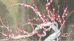 梅花鹿