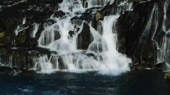 Magical Movements