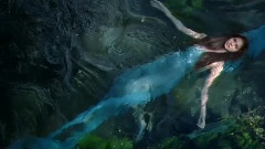 Fly My Wish