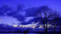 Time Lapse Winter Stars