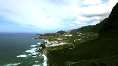 Insula