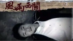 电视剧