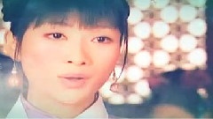 恍如一梦芳菲止