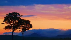 2012 Spring Time Lapse Twinkling Stars