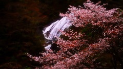 The Beauty Of Japan Landscape
