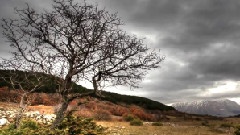 Timelapse
