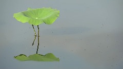 台湾古镇破晓