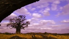 Mapungubwe