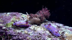 挚爱阳光