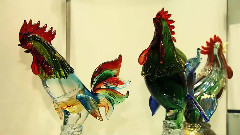 の阳光