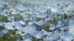 Ephemere