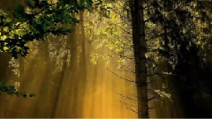 La Source Pure
