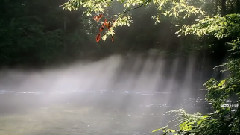 La Vallee Des Anges