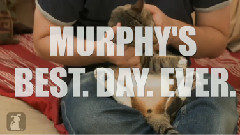 Best Day Ever
