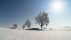 雪纷纷