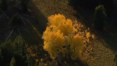 Jon Richards - Song Of The Seasons