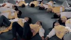 Sunny 10 CF