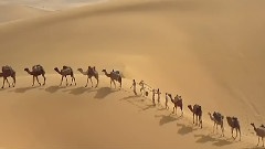 尼罗河的景色