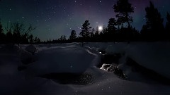 Aurora In Finland Lapland(芬兰拉普兰的极光)