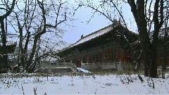 菩提树下
